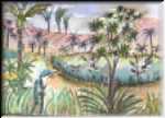 N.Z Colonisation 1
