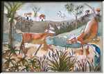 N.Z Colonisation 2