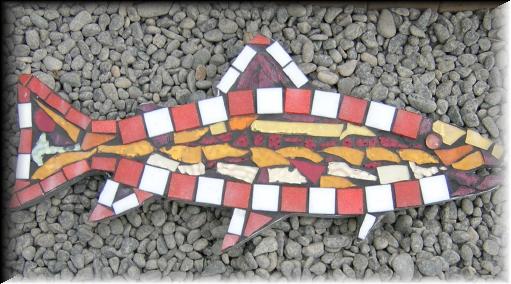 fish15
