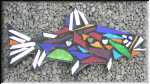 fish14