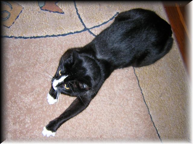 gary06