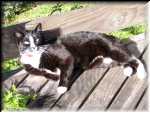 gary01
