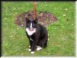 gary04