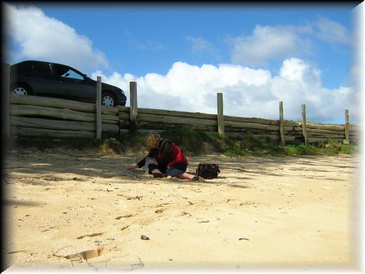 norfolk_11