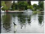 kinloch_03