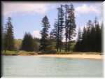 norfolk_10