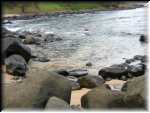 norfolk_19