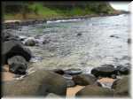 norfolk_20