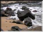 norfolk_21