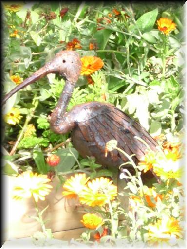 Bird Garden 2