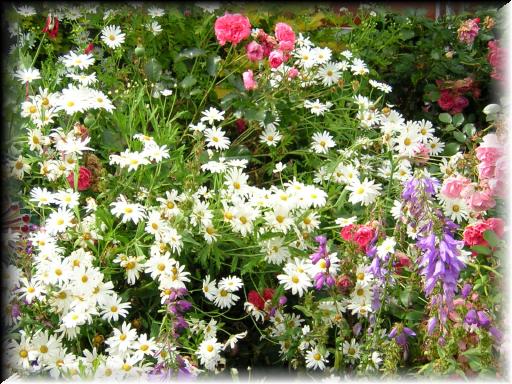 Janet's Garden 3