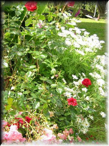 Janet's Garden 6