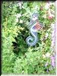 Janet's Garden 2