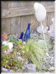 Pumice Bird Garden 3