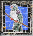 Kereru Paver